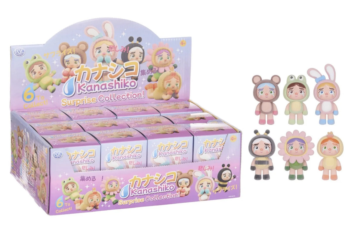 Kanashiko Blind Box